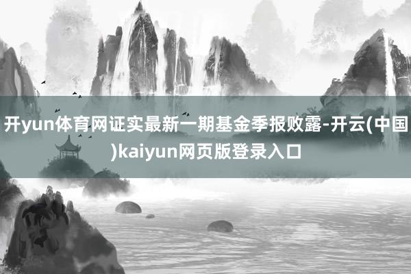开yun体育网证实最新一期基金季报败露-开云(中国)kaiyun网页版登录入口
